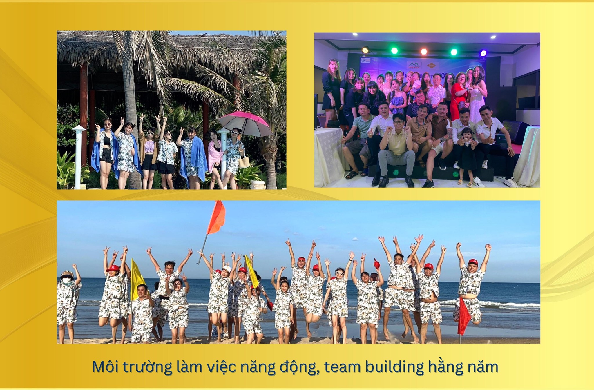 lĩnh vực hoạt động